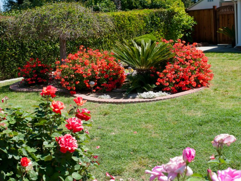 Commercial Gardening in Honolulu, HI