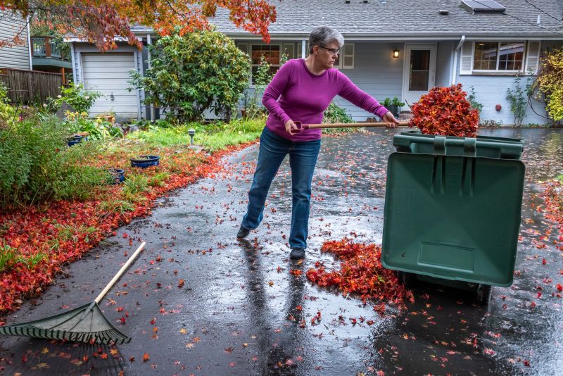Clear Yard After Leaf Fall