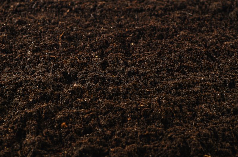Topsoil adds nutrients to support healthy plant growth